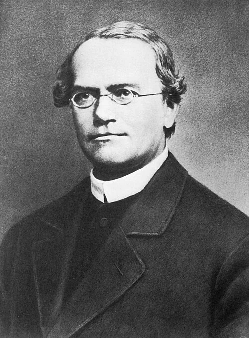 Gregor Mendel — the friar in the garden